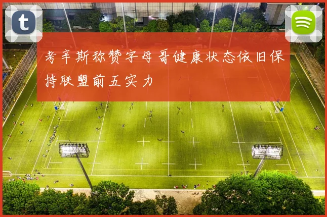 考辛斯称赞字母哥健康状态依旧保持联盟前五实力