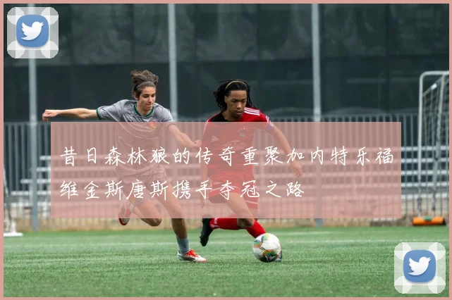 昔日森林狼的传奇重聚加内特乐福维金斯唐斯携手夺冠之路